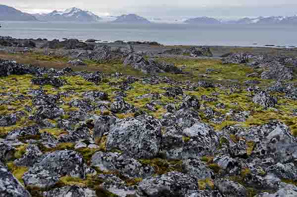 155 - Noruega - islas Svalbard - isla de Spitsbergen - Ingeborgfjellet